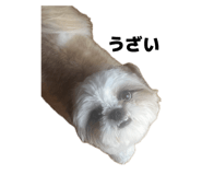 858650862