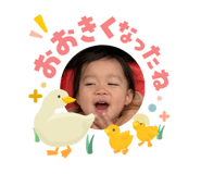 858650904