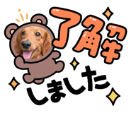 858651113