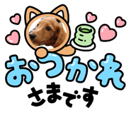 858651117