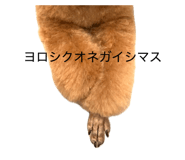 858651291