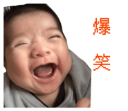 858651304