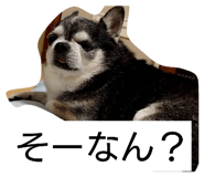 858651923