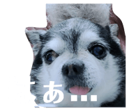 858651926