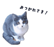 858651938