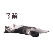 858651939
