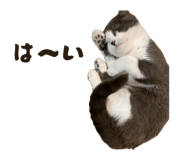 858651940