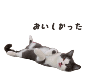 858651943