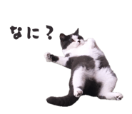 858651944