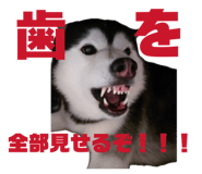 858652409