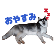 858652411