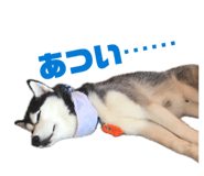 858652412