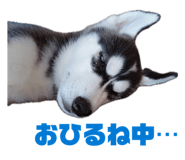 858652413