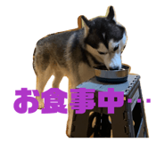 858652419