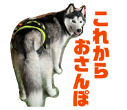 858652420