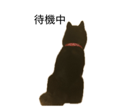 858652586
