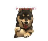 858652589