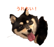 858652592