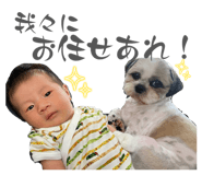 858652987