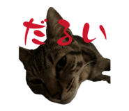 858653313