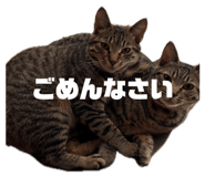 858653328