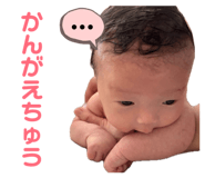 858653333