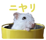 858653409