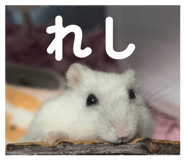 858653413
