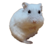858653416