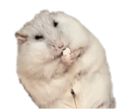 858653417