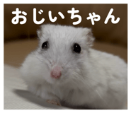 858653430