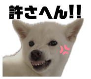 858654867