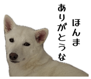 858654876