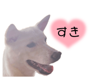 858654877