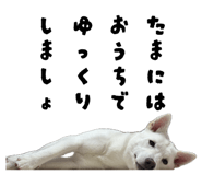 858654882