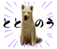 858654885