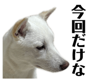 858654886