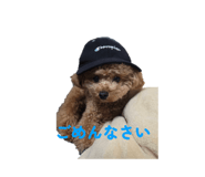 858656145
