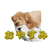 858656146