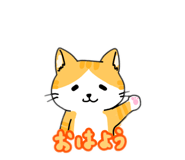 858656465