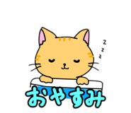 858656480
