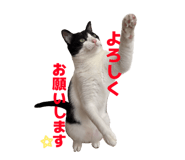 858656601