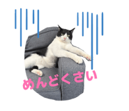 858656602