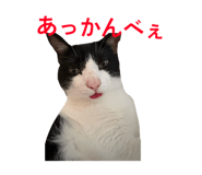 858656605