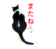 858656616
