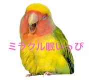 858656795