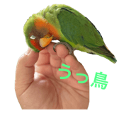 858656797