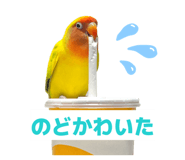 858656798