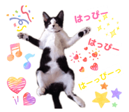 858656806