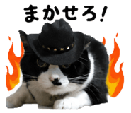 858657820